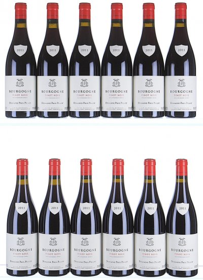 Paul Pillot, Bourgogne, Pinot Noir - In Bond