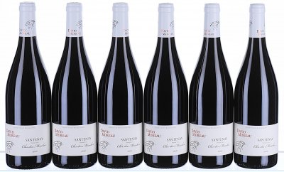 David Moreau, Santenay Premier Cru, Clos des Mouches - In Bond