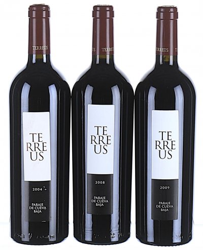 2004/2009 Mixed Lot of Mauro, Terreus Paraje de Cueva Baja, Castilla y Leon