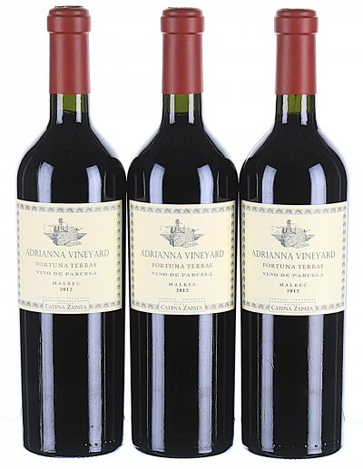 Catena Zapata, Gualtallary Adrianna Vineyard Fortuna Terrae Malbec, Tupungato - In Bond
