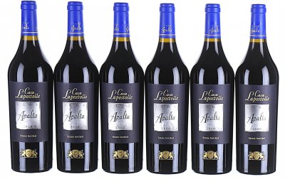 Domaine Bournet-Lapostolle, Clos Apalta, Apalta