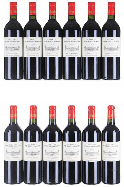 Chateau Tronquoy de Lalande, St Estephe
