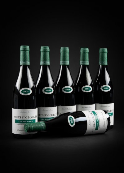 Domaine Henri Gouges, Nuits-Saint-Georges Premier Cru, Les Pruliers