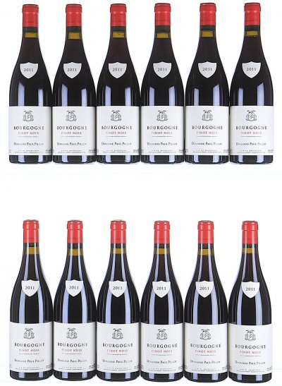 Paul Pillot, Bourgogne, Pinot Noir - In Bond