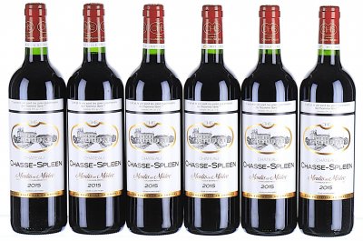 Chateau Chasse-Spleen, Moulis en Medoc