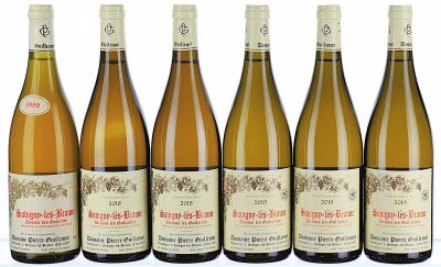 1999/2019 Pierre Guillemot, Savigny-les-Beaune, Dessus les Gollardes Blanc