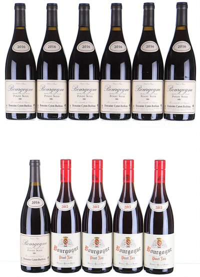 2015/2016 Mixed Lot of Red Burgundy