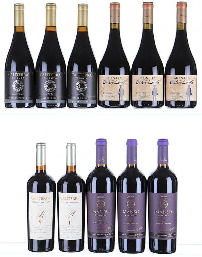 2013/2016 Red Hot Chiliean Wines