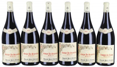 2014/2017 Mixed Lot of Pierre Guillemot, Savigny-les-Beaune (Magnums)