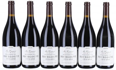 Meo Camuzet Frere et Soeurs, Bourgogne, Cote d'Or Hemisphere Sud - In Bond