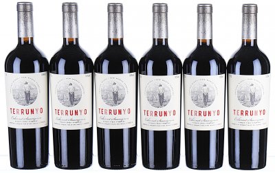 Concha Y Toro, Terrunyo Cabernet Sauvignon, Maipo Valley