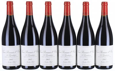 Nicolas Potel, Vosne-Romanee Premier Cru, Les Gaudichots