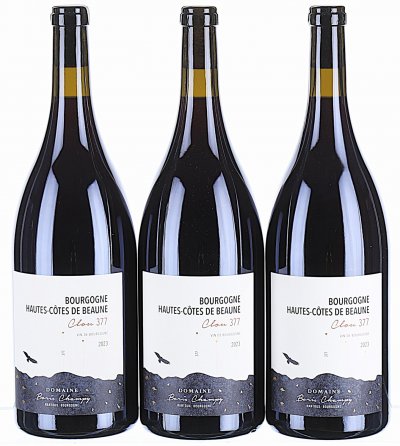 Domaine Boris Champy, Bourgogne, Hautes Cotes de Beaune Clou 377 (Magnum) - In Bond