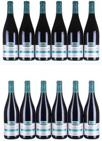 2016/2018 Domaine Henri Gouges, Nuits-Saint-Georges Premier Cru, Les Pruliers