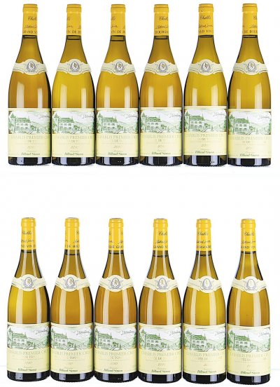 Domaine Billaud-Simon, Chablis Premier Cru, Montee de Tonnerre