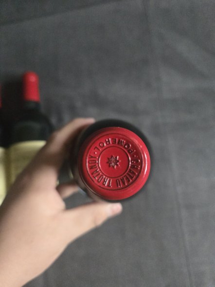 Chateau Trotanoy, Pomerol