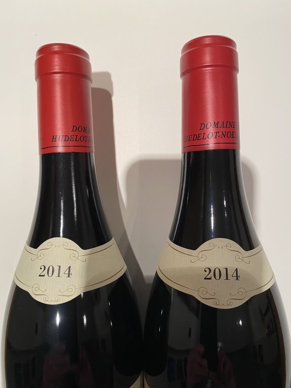 Alain Hudelot-Noellat, Bourgogne