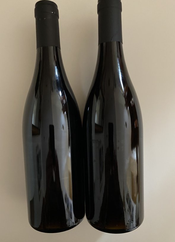 Sylvain Pataille, Bourgogne, Pinot Noir