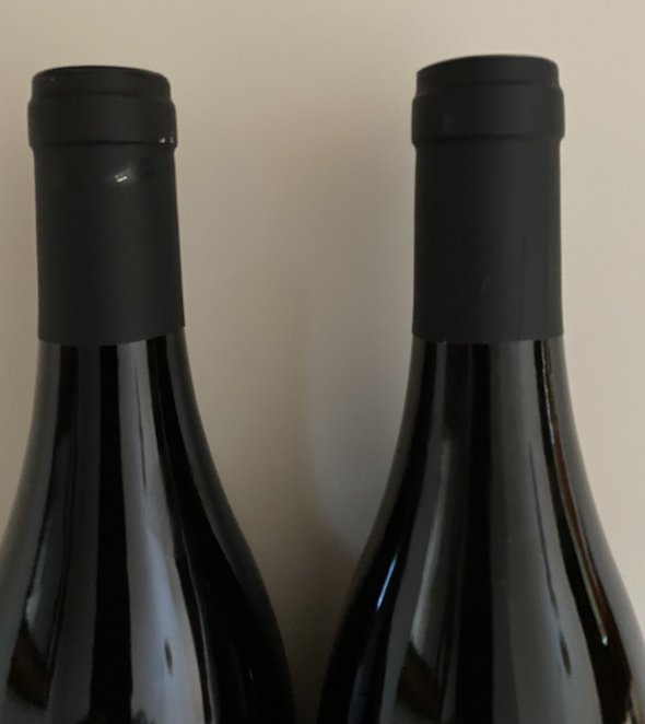 Sylvain Pataille, Bourgogne, Pinot Noir