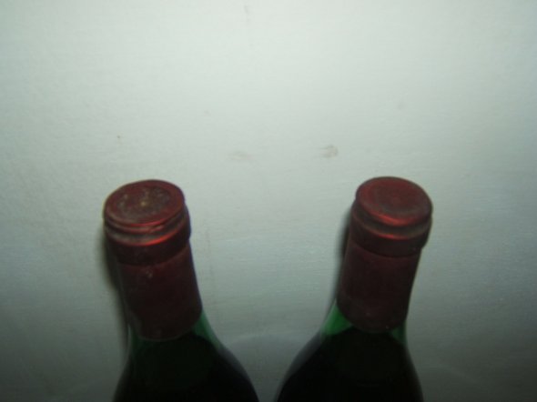 Tinto da Anfora