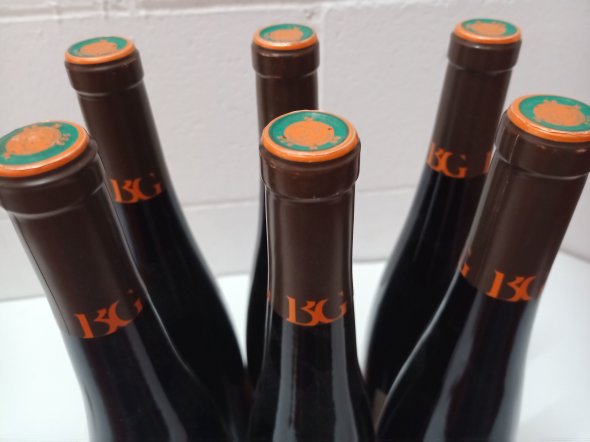  Galets Oligoc&egrave;ne 2017 Pinot Noir Biodynamics - Bott-Geyl