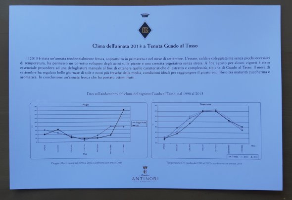 Antinori, Guado Al Tasso, Bolgheri