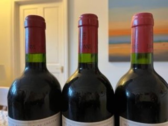 Chateau La Cardonne, Medoc