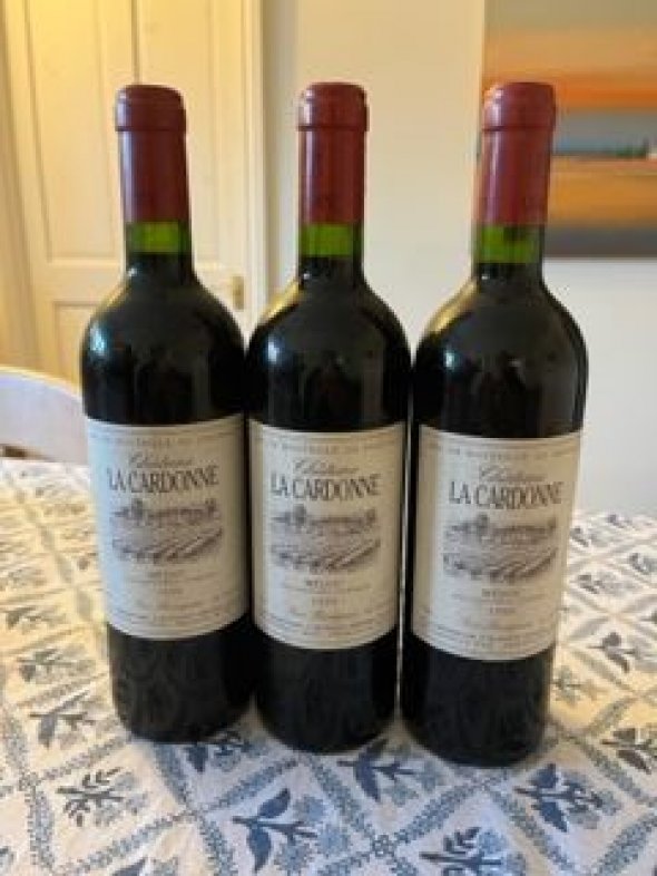 Chateau La Cardonne, Medoc