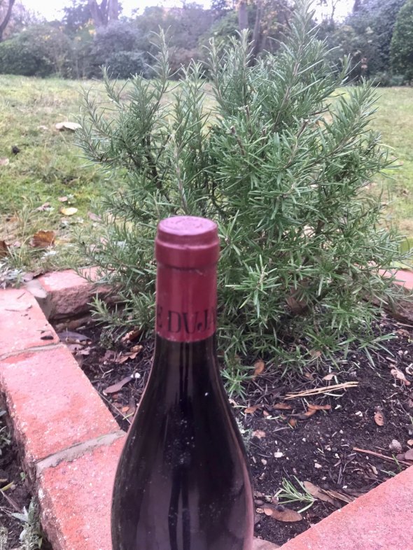 Domaine Dujac, Gevrey-Chambertin Premier Cru, Aux Combottes
