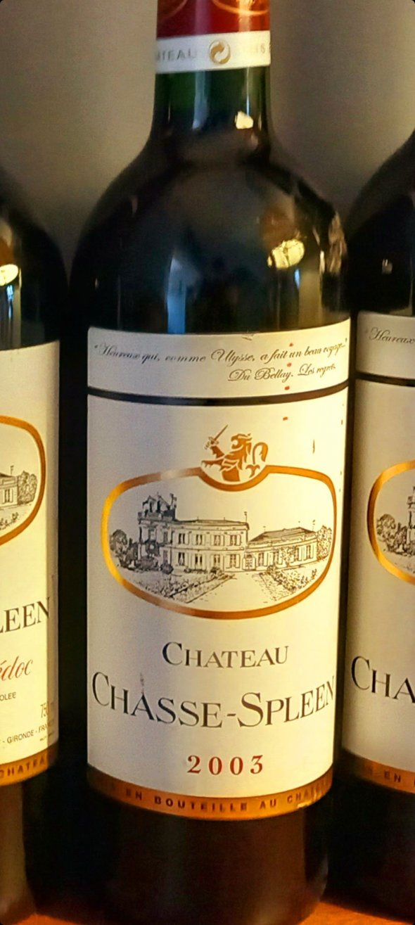 Chateau Chasse-Spleen, Moulis en Medoc