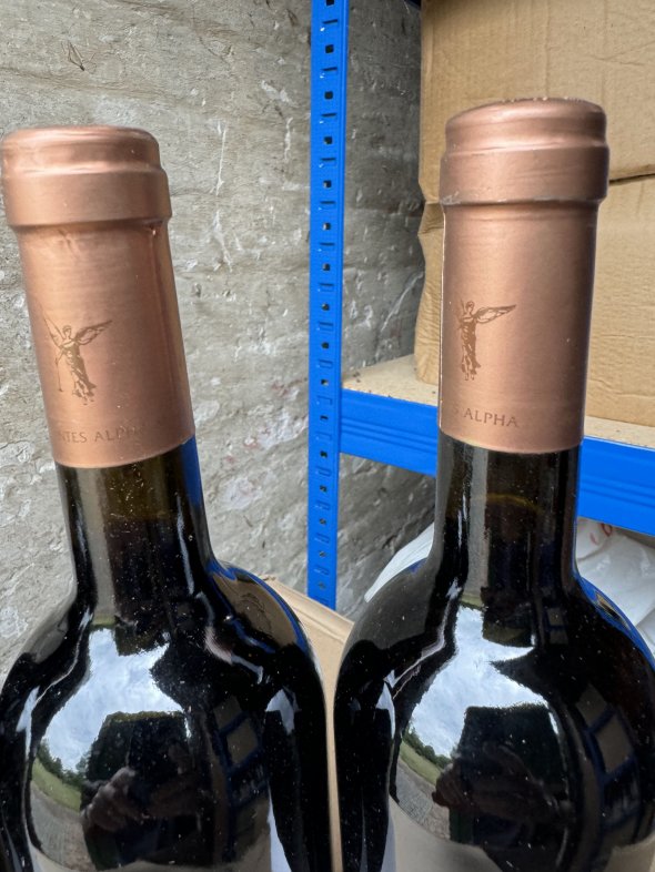 Montes, Alpha M, Colchagua Valley