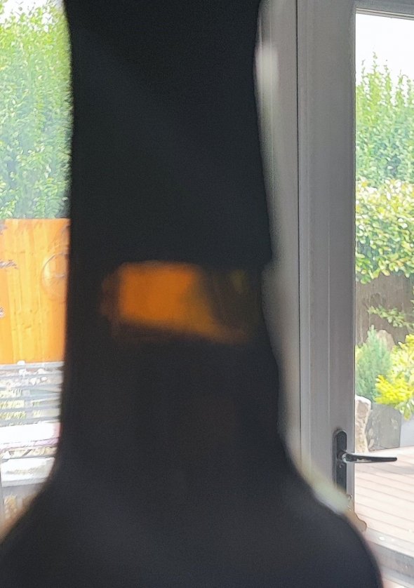 Taylor's, Late Bottled Vintage Port