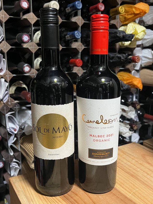 Mendoza Malbec pair 2020 & 2021