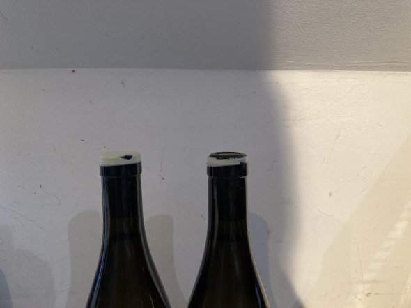 Chardonnay &ldquo;C&ocirc;te de Caillot&rdquo; 2021 - Savagnin &ldquo;Canon &agrave; Foudre&rdquo; 2020 Domaine de la Borde 