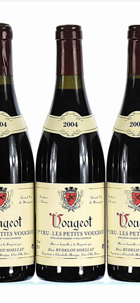 Alain Hudelot-Noellat, Vougeot Premier Cru, Les Petits Vougeots
