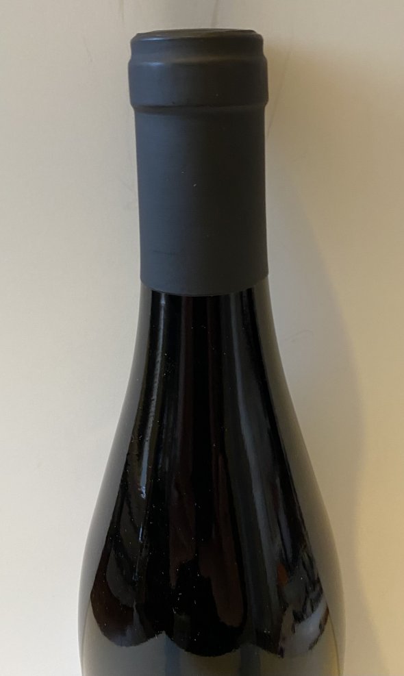 The Societys Exhibition Hermitage JL Chave, 2009