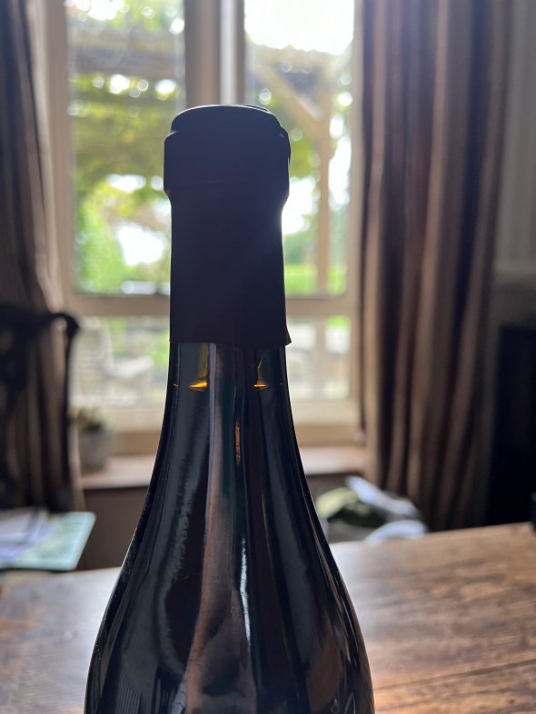 Amarone Raimondi, Villa Montelone