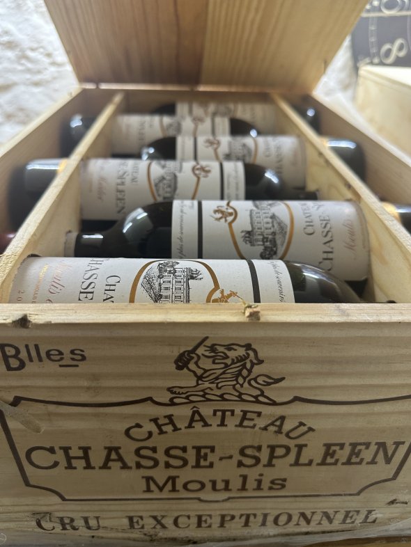 Chateau Chasse-Spleen, Moulis en Medoc