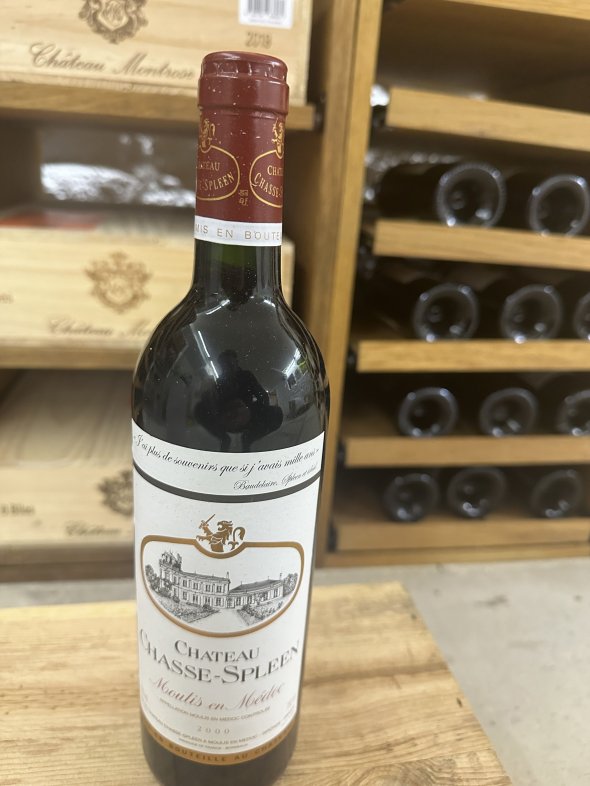 Chateau Chasse-Spleen, Moulis en Medoc