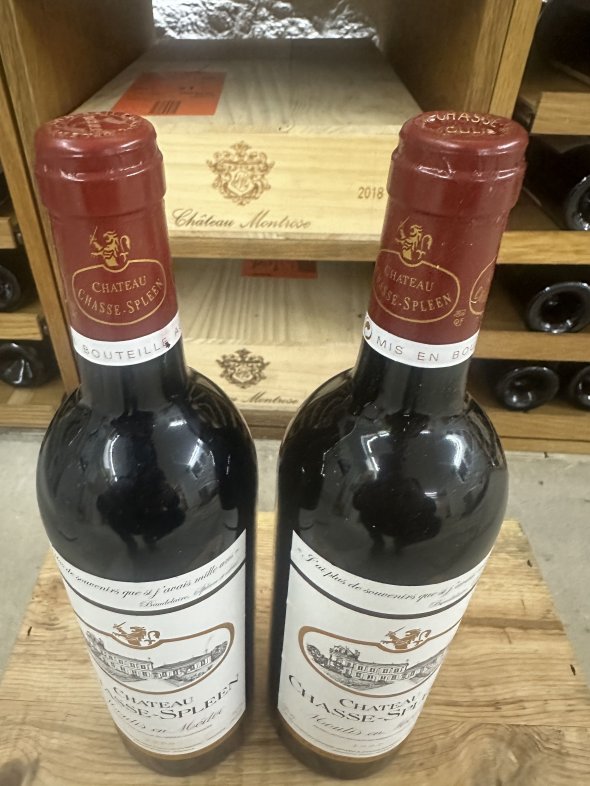 Chateau Chasse-Spleen, Moulis en Medoc