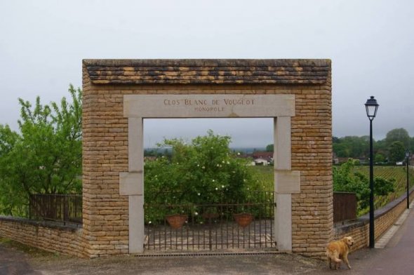Domaine de la Vougeraie, Vougeot Premier Cru, Le Clos Blanc