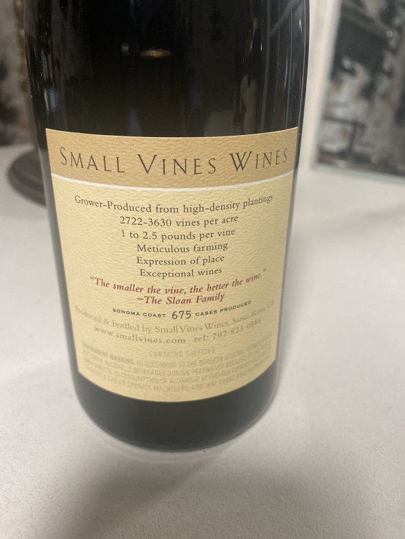 Small vines pinot noir 