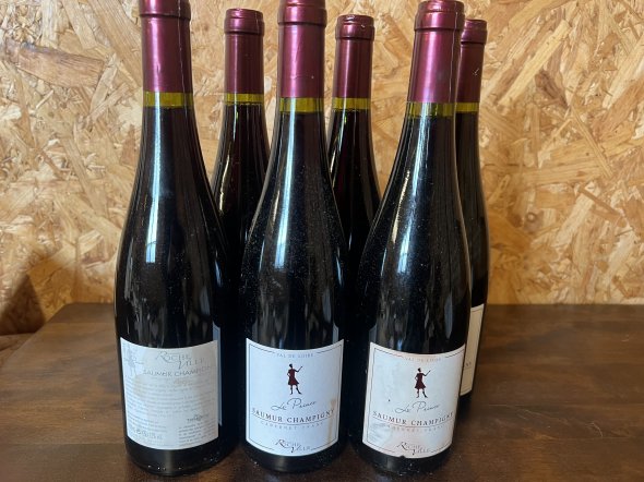 Rocheville, Saumur-Champigny, Prince