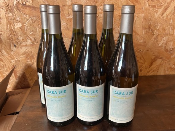 Cara Sur moscatel bianco 