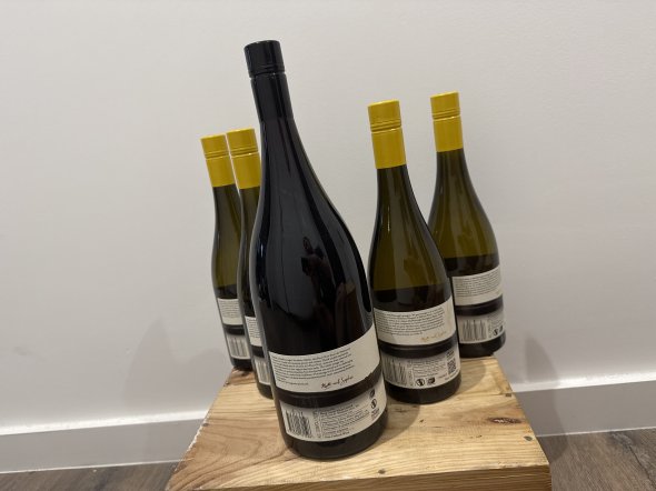 selection of Blank Canvas wines with 4 Sauvignon blanc 75 cl and 1 magnumOf Pinot noir 150cl