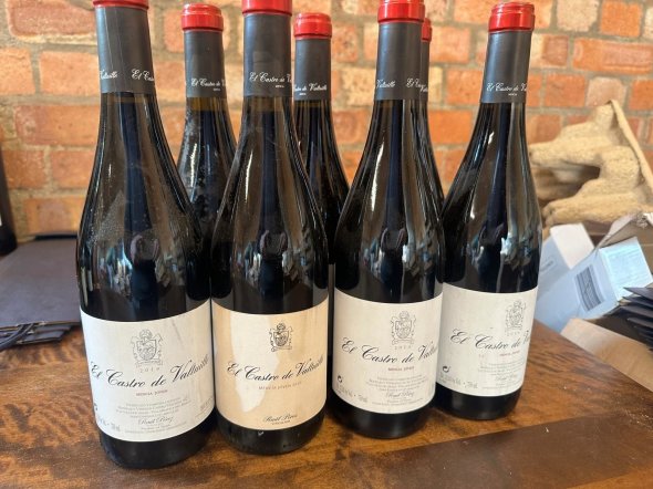 El Castro de Ventosa, Bierzo, Castro Valtuille Mencia Joven