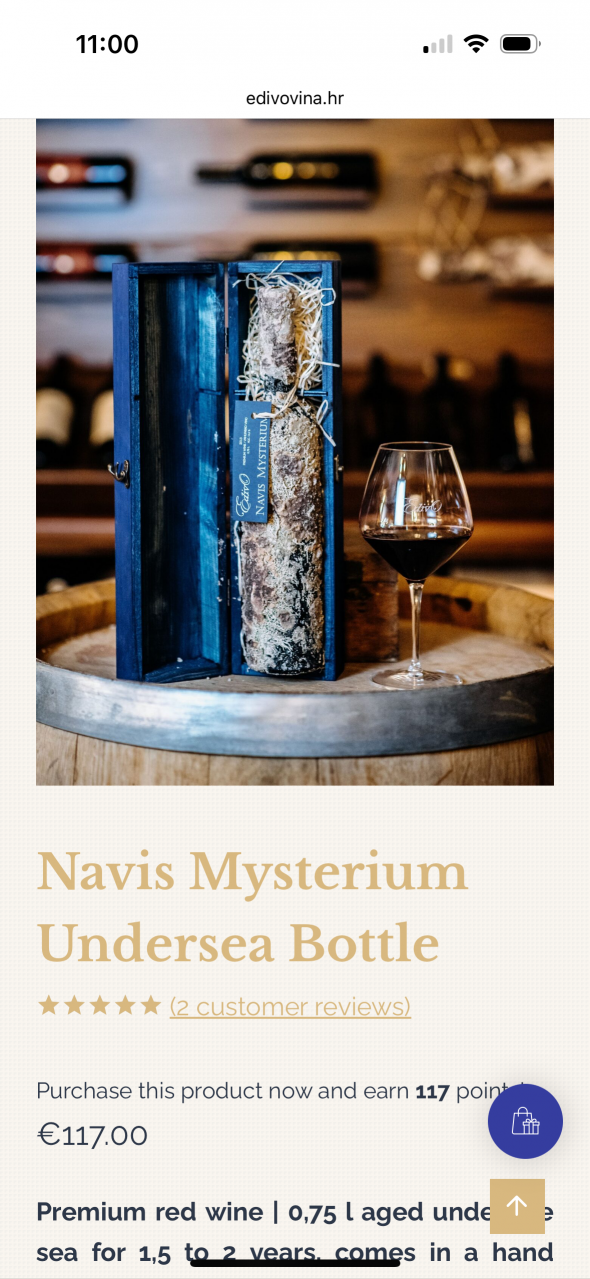 Navis mysterium 