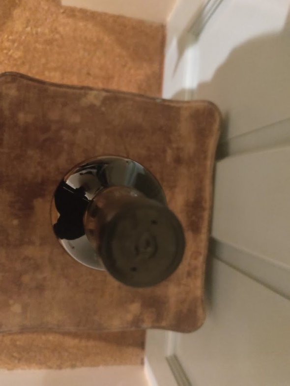 Ardbeg, Single Malt Ardbog, Islay