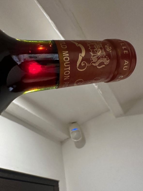 Chateau Mouton Rothschild Premier Cru Classe, Pauillac