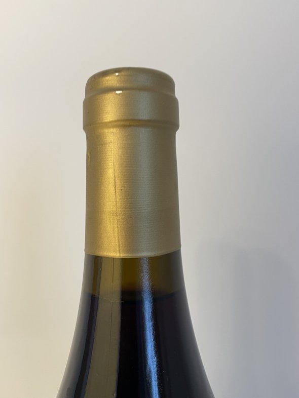 Domaine Daniel Rion & Fils, Nuits-Saint-Georges Premier Cru, Clos des Argillieres